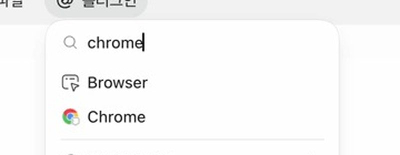 플러그인 검색에 chrome을 쳤을 때 Browser와 Chrome 두 줄